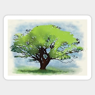 Watercolor Tree Sticker